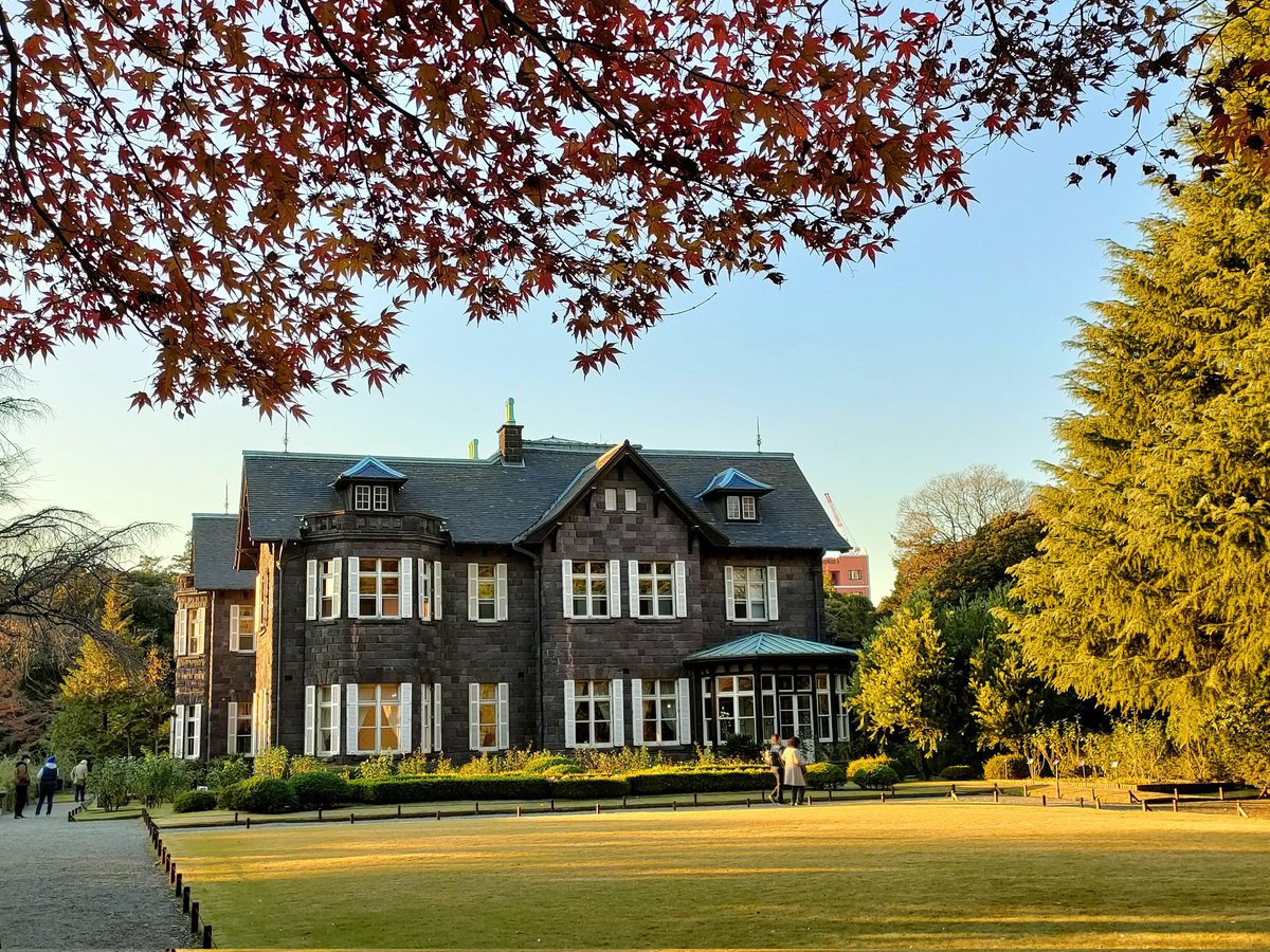 thankyoueveryon's tweet image. 🍁旧古河庭園　
楓恥らむ晩秋の庭