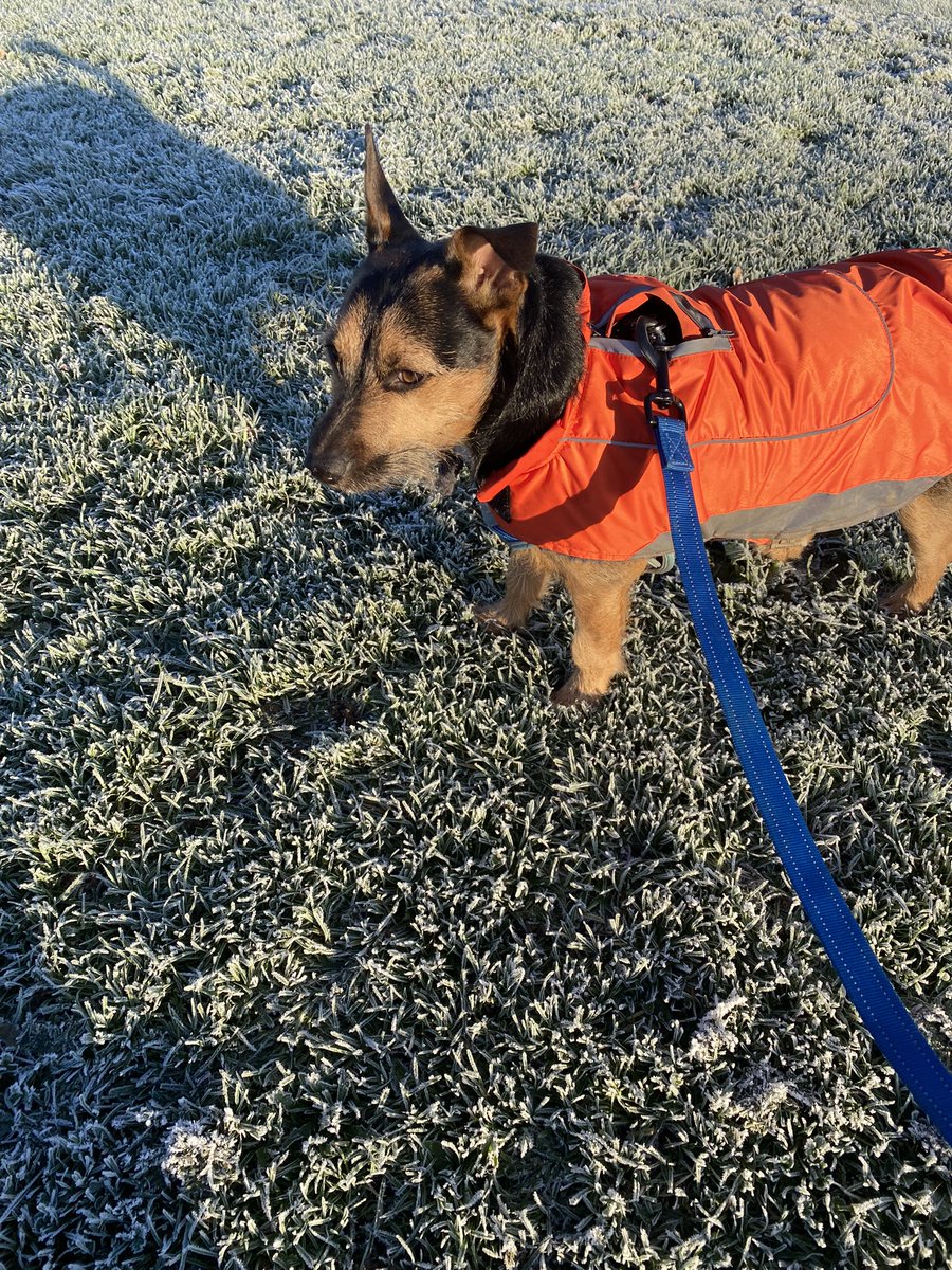 Beautiful morning ❄️☀️