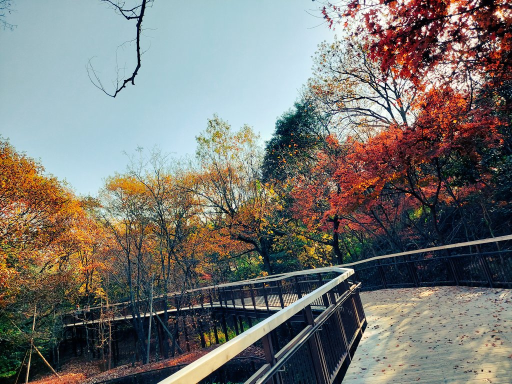 「湖の反対側にぽつんといた千と千尋のカンテラくんどんどこ森までの山道ハイキングの途」|桜⛩歌のイラスト
