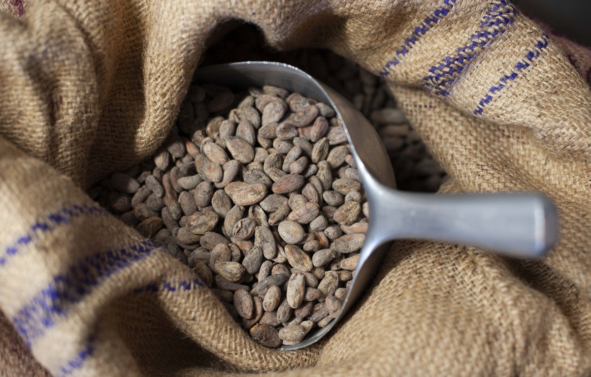 AFRIKOA Chocolate tweet media