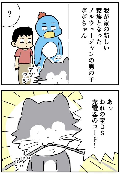 イヌ派の私が子ネコを保護した話
最終回「理想と現実」1/2 