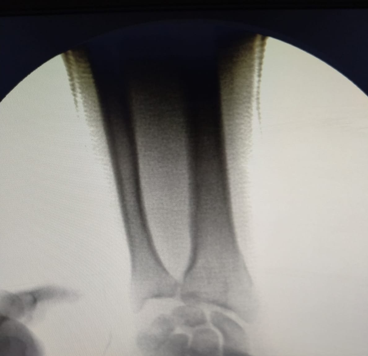 Orthopedist tweet media
