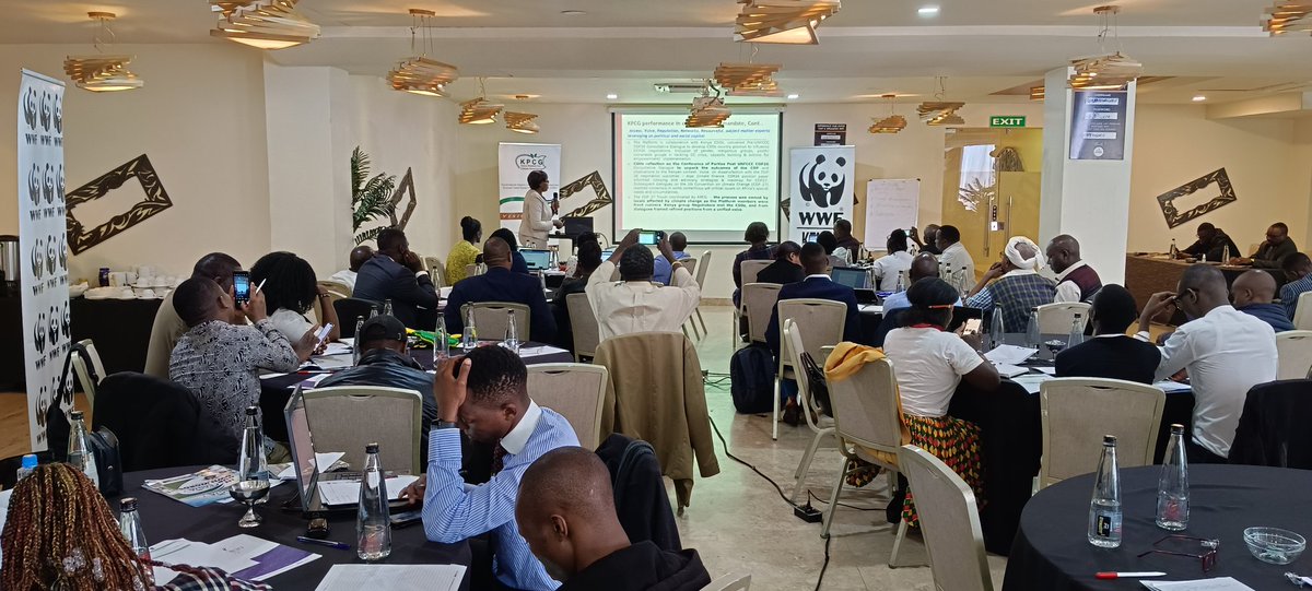 sylviawachira's tweet photo. Happening now! Kenya Platform for Climate Governance AGM and Capacity Building @PACJA1 @kenya_climate @mithika_mwenda @anne_tek @LamechLamarch25  @FaithfulnessJS @WomankindKenya @ActionAid_Kenya @aacjinaction   #KPCG22 @Brian_misiati @ChestitLynn @Cpmwangi https://t.co/eNz1bkh8ZZ