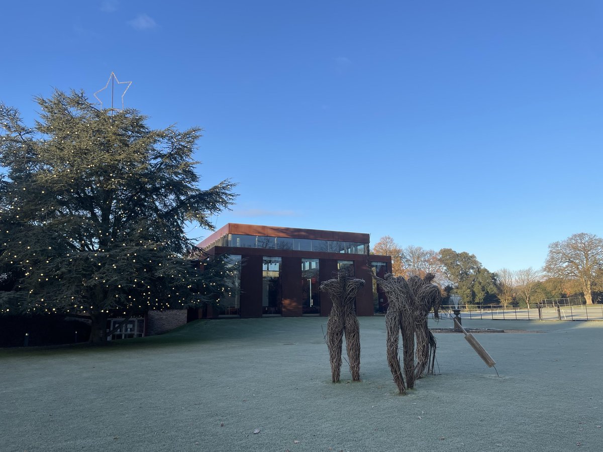 Clearer skies this week but just as festive! 🎄💫