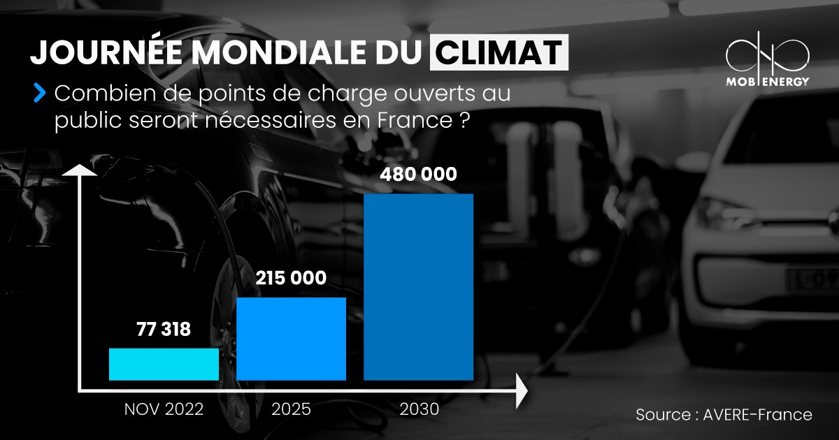 Mob-Energy tweet media