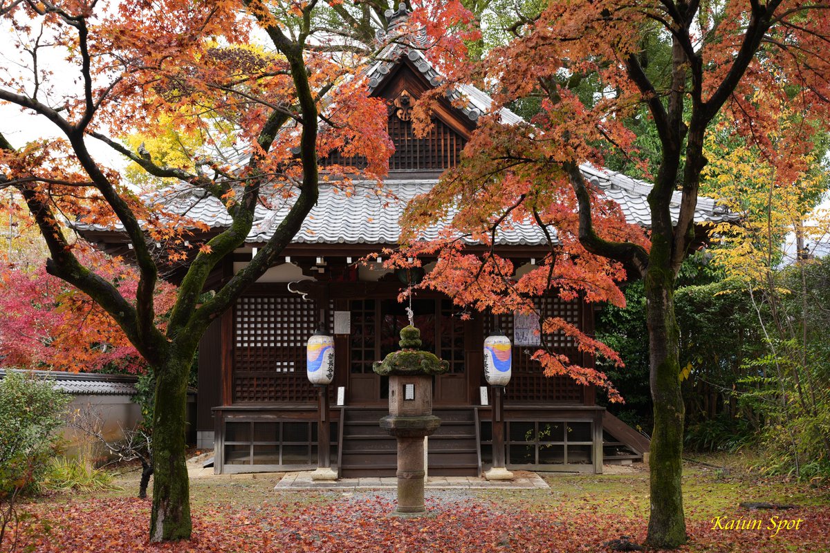 tabigoshuin's tweet photo. #京都 #天台宗 の #真如堂 境内にある #新長谷寺

✅ #洛陽三十三所観音霊場 第5番
　ご本尊は奈良県の長谷寺の御本尊 #十一面観音 を
　模して制作
     
✅ 真如堂の本堂��は違い参拝者が少なくゆっくり
　参拝
       
#御朱印 #御朱印巡り #そうだ京都行こう #旅行 
#写真 #神社仏閣 #開運スポット https://t.co/o2nUkTYKRs