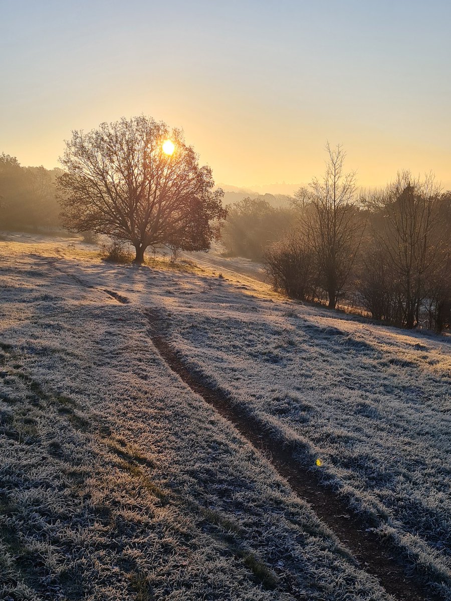 Quite fresh on the dog walk this morning!