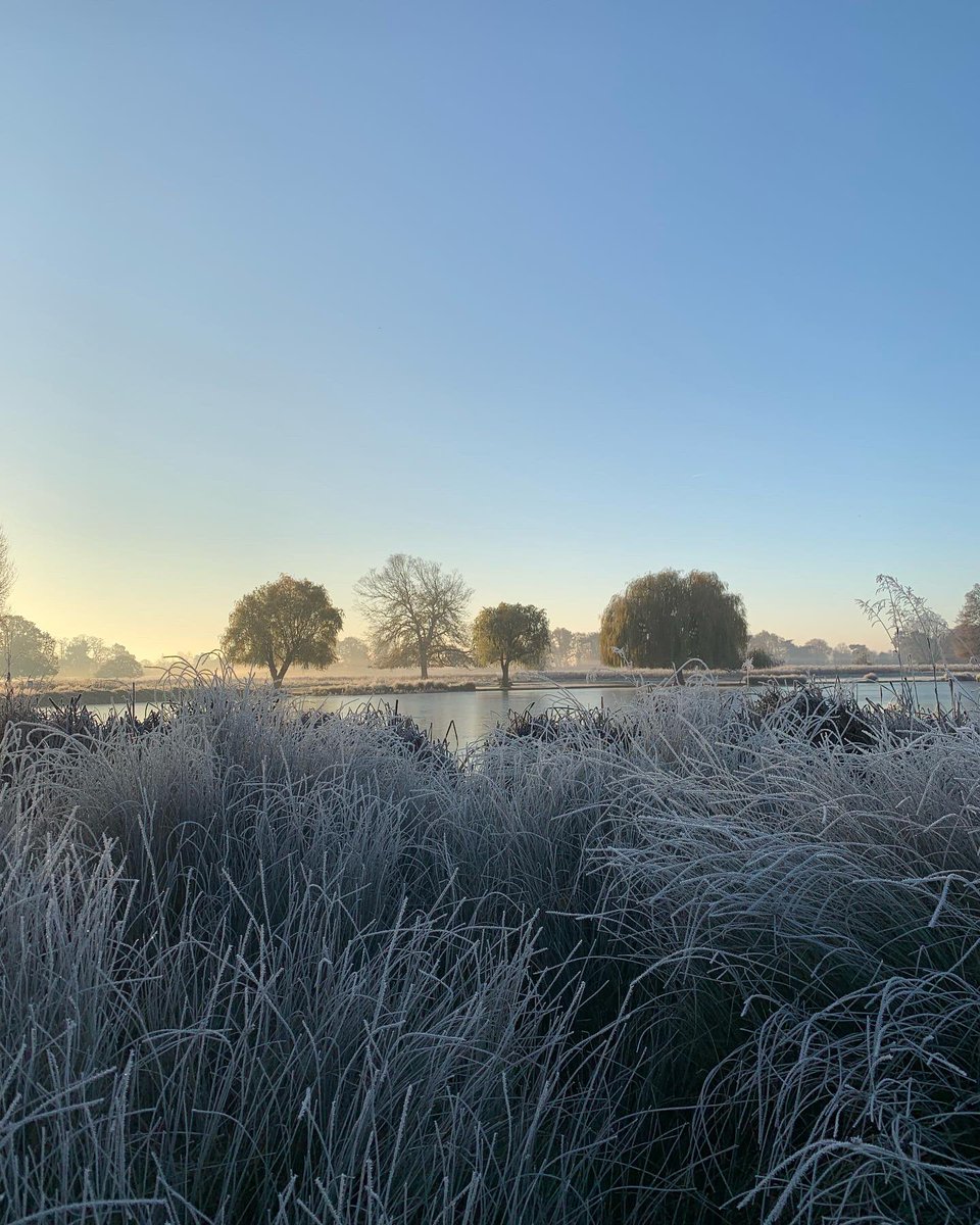 Winter has arrived in Bushy Park and it’s gorgeous!

<a href="/theroyalparks/">The Royal Parks</a> <a href="/bbcweather/">BBC Weather</a>