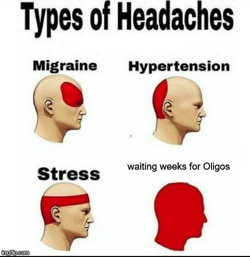 kilobaser_dna's tweet photo. Save yourself the headache, we've got your back! Book an online demo now at: https://t.co/nUqxCz4jK5
#Kilobaser #DNAonDemand #SaveYourTime https://t.co/fKgHbpQdIz