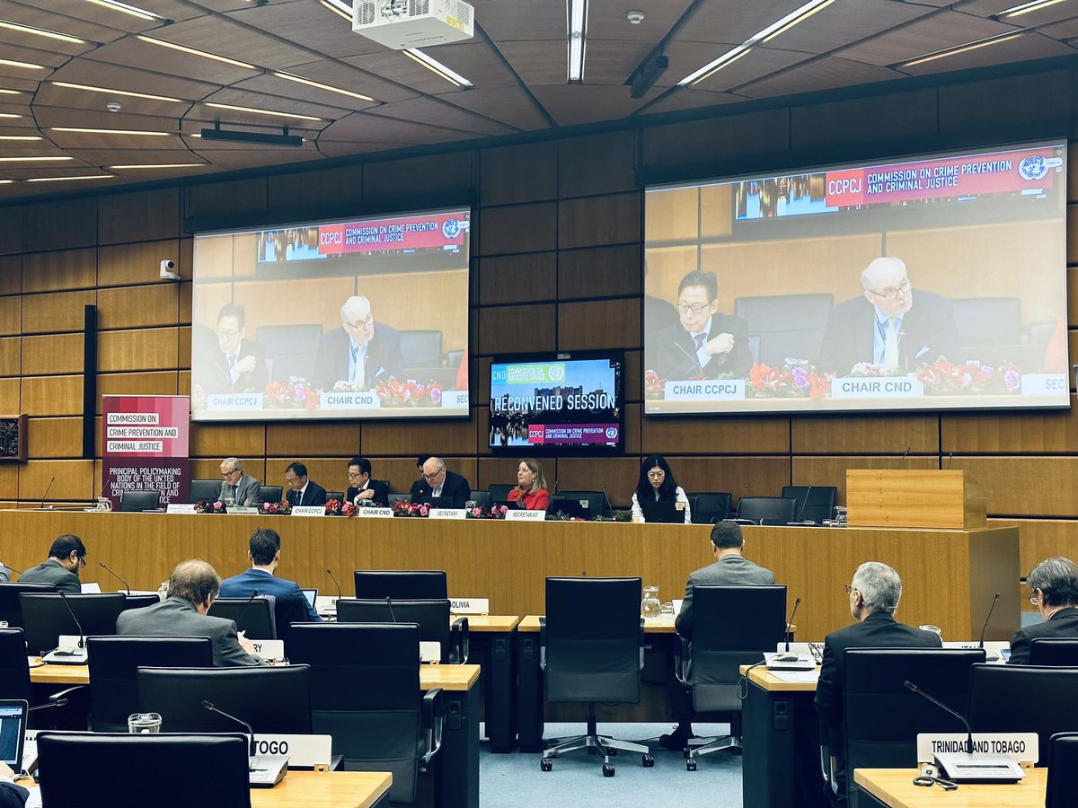 Vienna NGO Committee tweet media