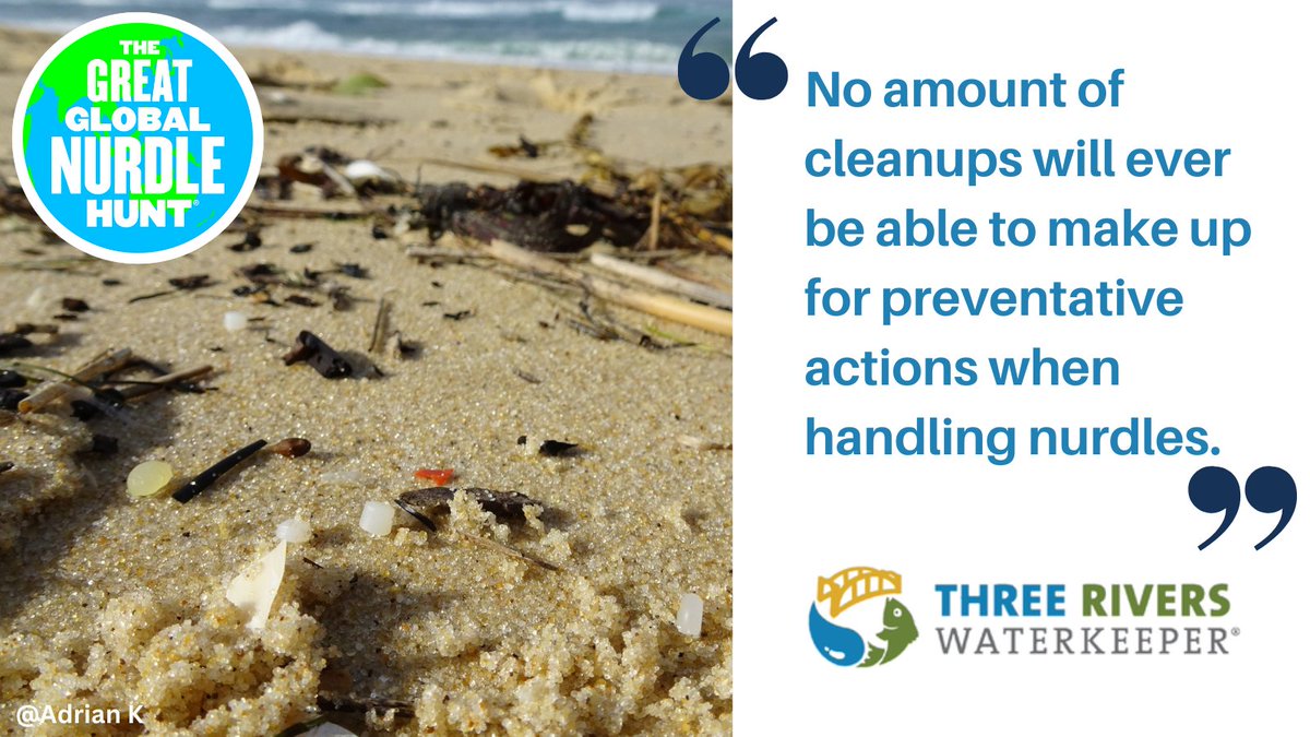 Have you read our #Greatglobalnurdlehunt report yet? Thank you again to all organisations and volunteers that took part. A total of 1,365 people spent 1,383 hours hunting for nurdles - the equivalent of hunting for 8 weeks straight! 👏Read the report 👉ow.ly/3nCz50LYbJz