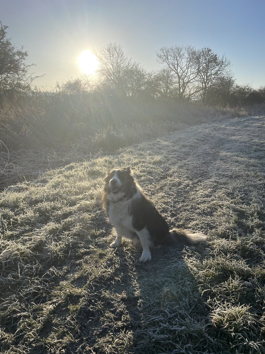 Chilly but beautiful start to the day #Winter #Wellbeing #GreenSpace #MyTime