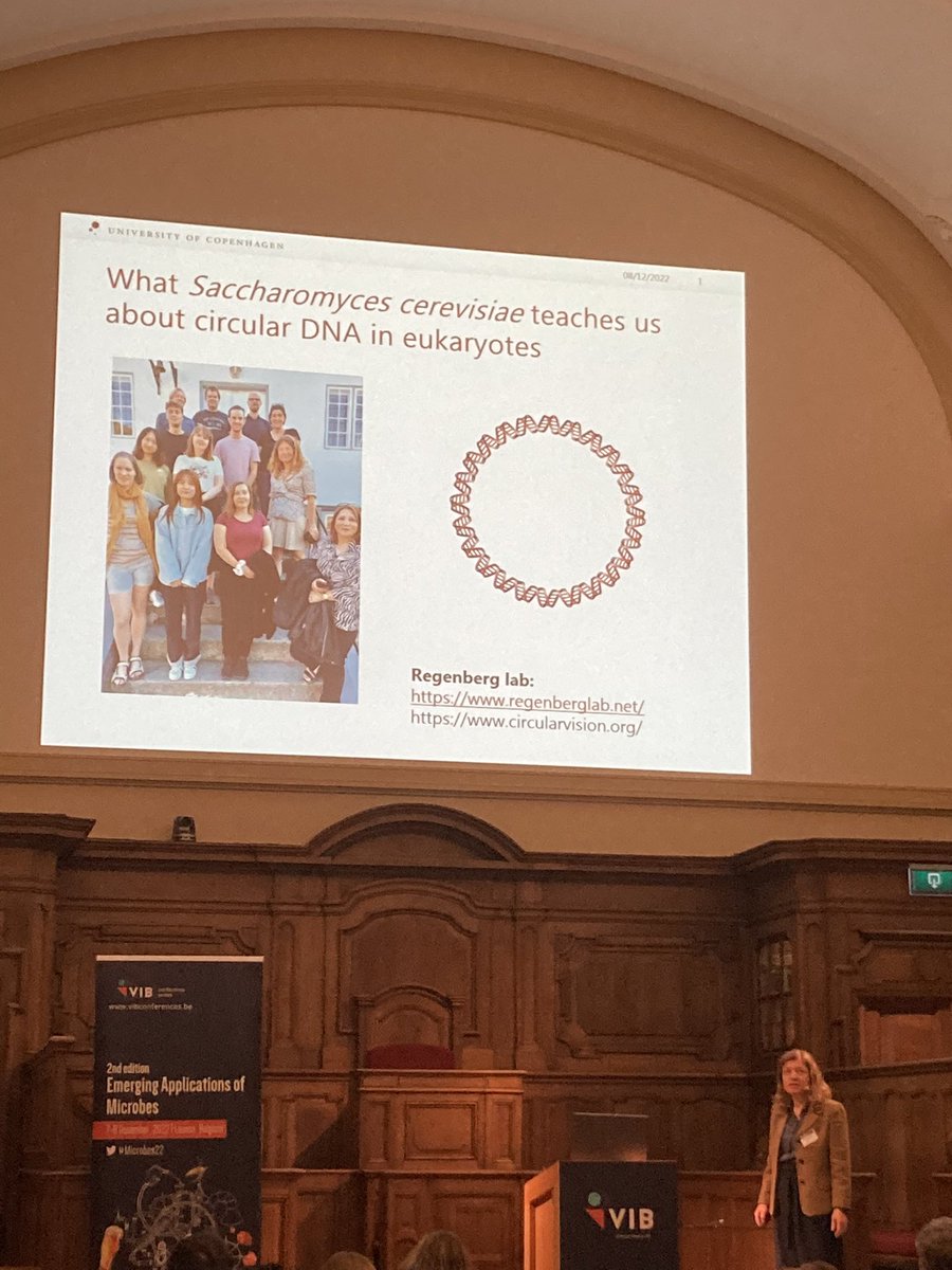 Mohammedtawfee4's tweet photo. S. cervisae and @regenberg_lab
teach us about circular DNA in Eukaryotes.
Summary: providing a framework for eccDNA research to understand it is biology
#Microbes22 @VIB_microbes @VIBConferences #circularDNA https://t.co/ERlql2oAMF