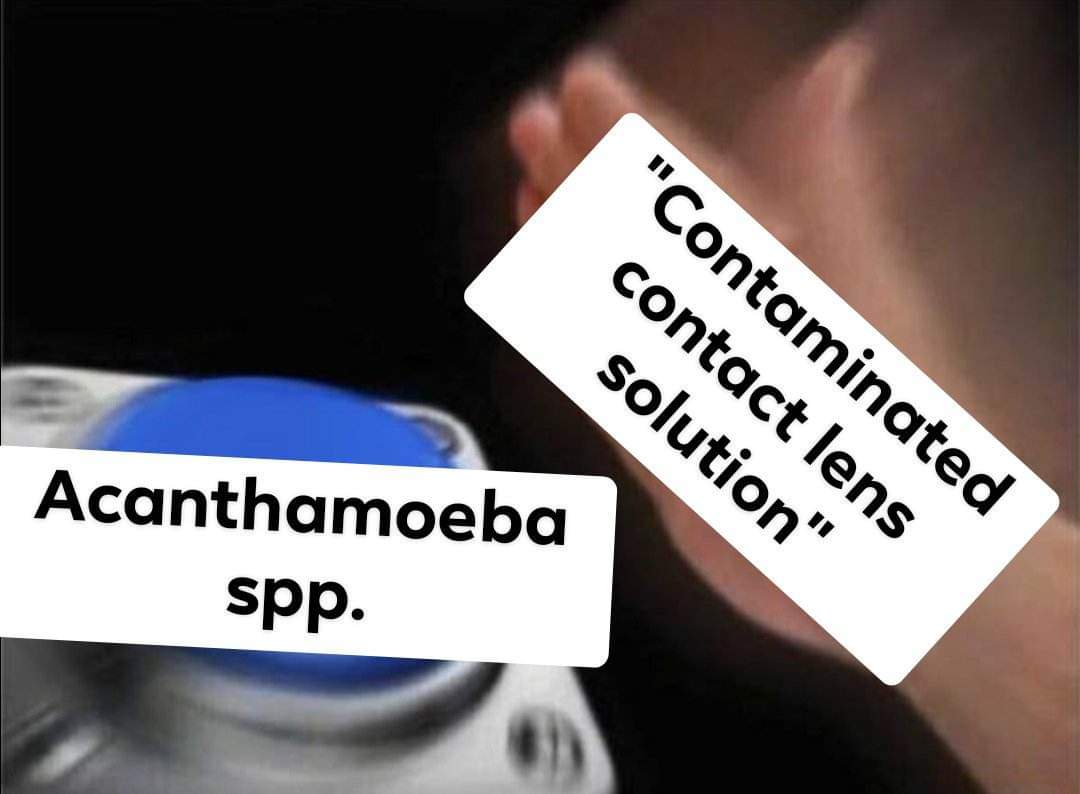 future rmt 🔬 on Twitter: 