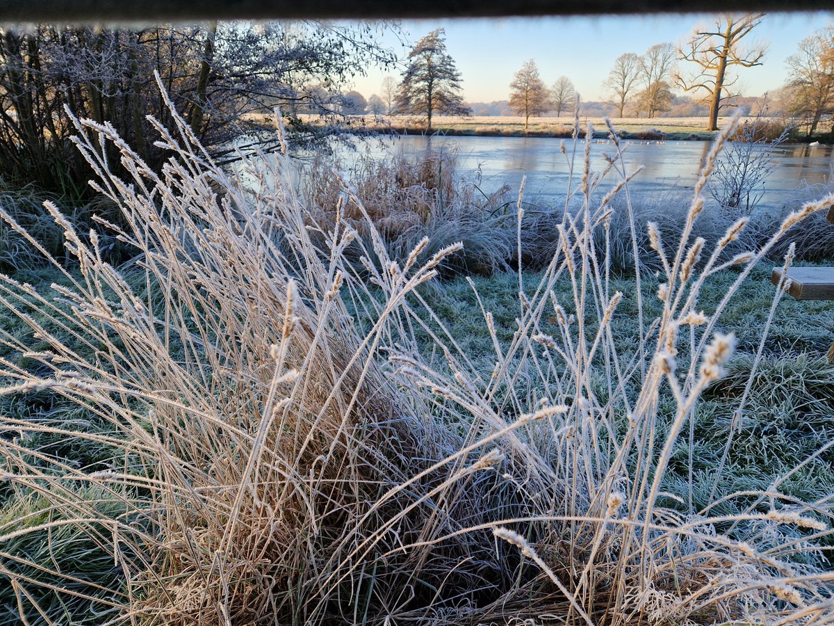 Laura Gallagher tweet media