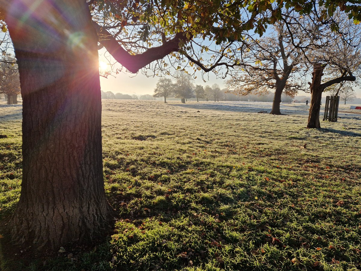 Laura Gallagher tweet media