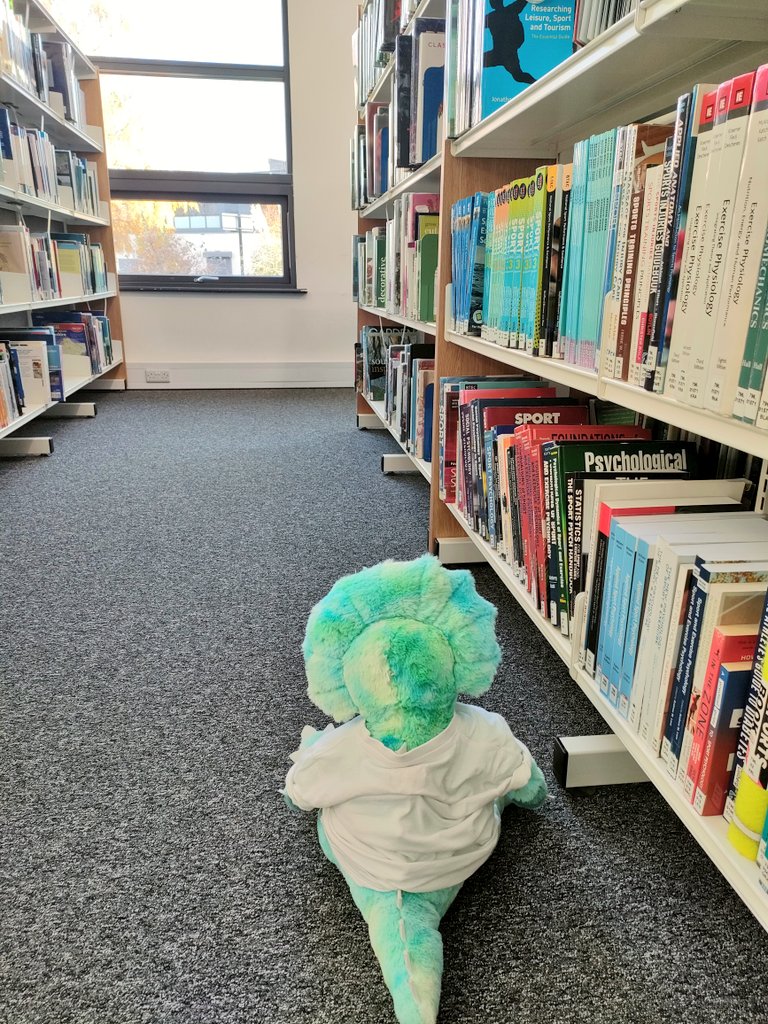 RHC_Library's tweet photo. Digby has been racing around the shelves with his magnifying glass, trying to find the library elf. He's determined to be the first to find him!🔍

If you're faster than Digby, you could win a prize😉 Head down to the library to find out more... https://t.co/GuCC26llam