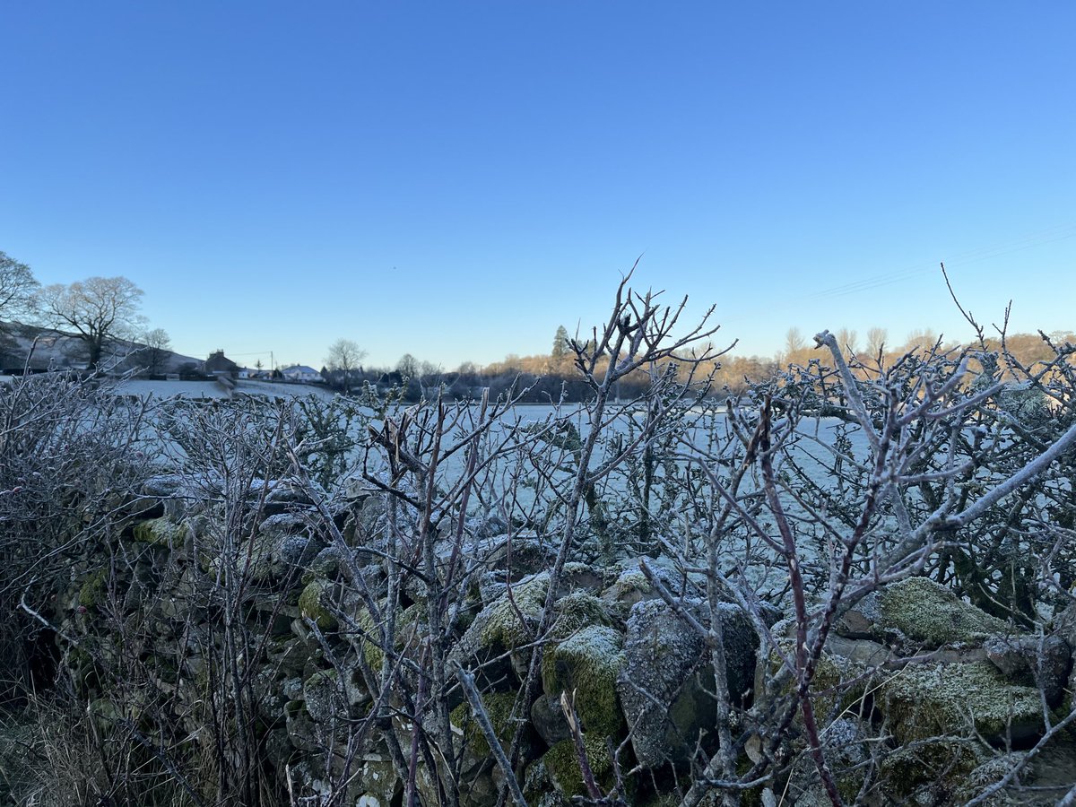 Evans House tweet media