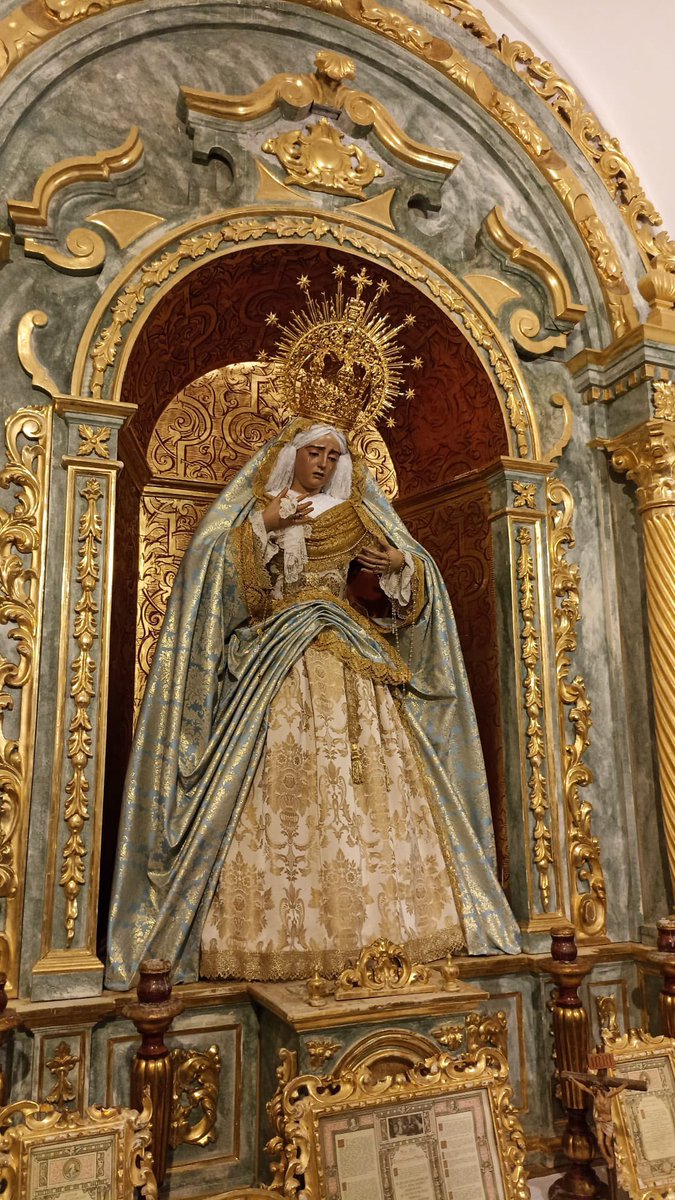 Hdad de los Dolores Alanís tweet media