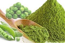 HowardMariar's tweet photo. According to ZMR Global Pea Protein Market Size, Forecast, Analysis &amp; Share Surpass US$ 1,892.3 Mn | 2028 | 13.9% CAGR - EIN Presswire https://t.co/yDpa6NhxjT via @ein_news 

#Global #Pea #Protein #Market #GlobalPeaProteinMarket #PeaProteinMarket #PeaProtein #Size #Share https://t.co/ugGbM4FlIO