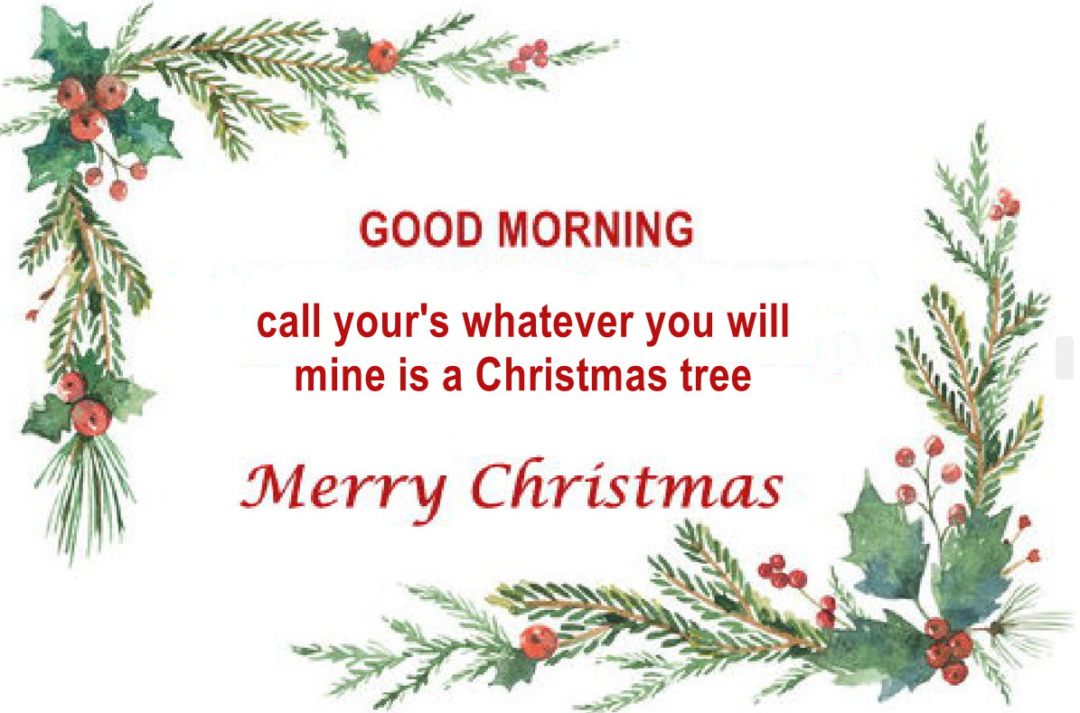 ylind's tweet image. 