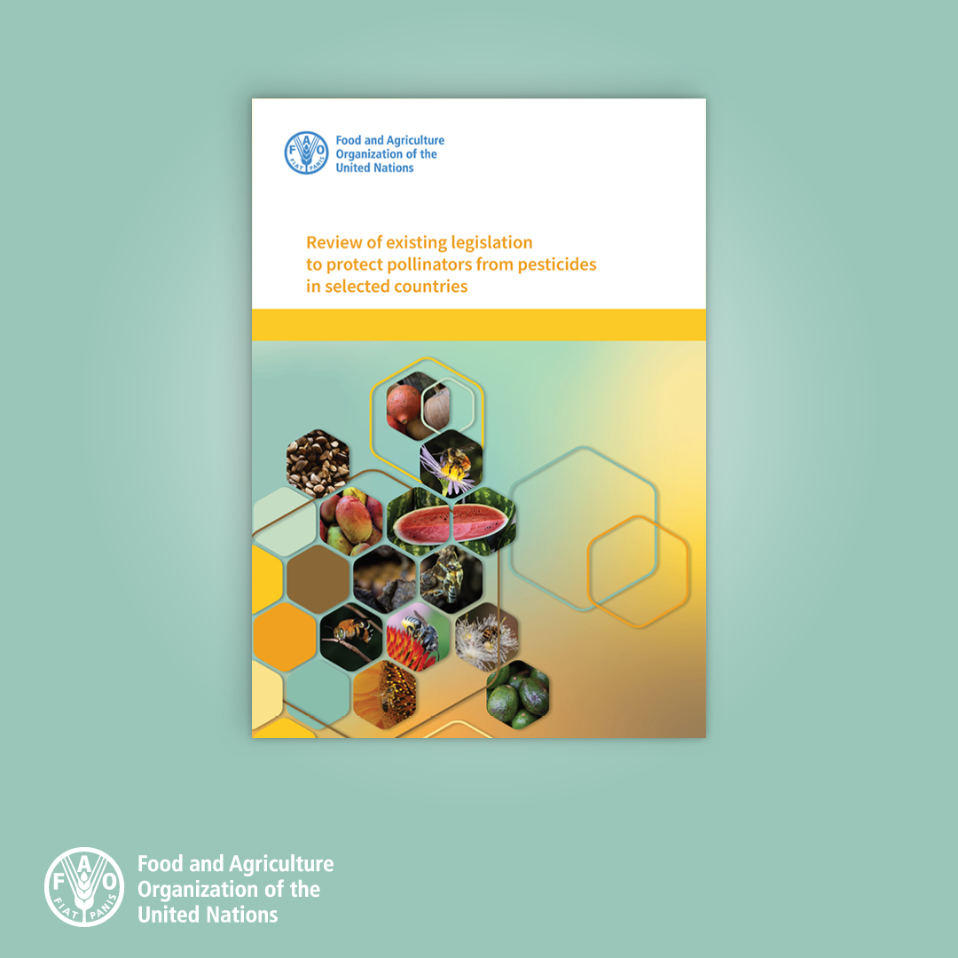 This <a href="/FAO/">Food and Agriculture Organization</a> review compares and contrasts legislation to protect pollinators in ten African, Caribbean and Pacific 'focus' countries and five richer 'reference' countries.

Read more: doi.org/10.4060/cc0226…

#Biodiversity #Pollinators