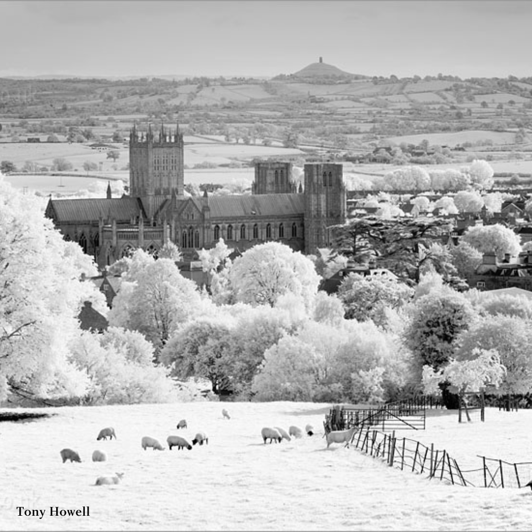 Visit Wells tweet media