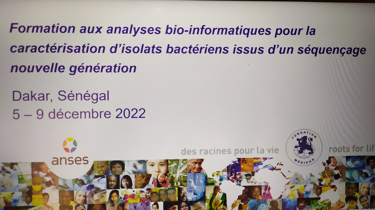 PaulineFr13's tweet photo. Cette semaine à Dakar se tient la première formation en collaboration entre @MerieuxFdn et @Anses_fr autour de la résistance aux antibiotiques 
L'objectif : familiariser 10 apprenants aux analyses bioinformatique lors de séquençage haut débit d'isolat bactérien https://t.co/UkgwXBJbnR