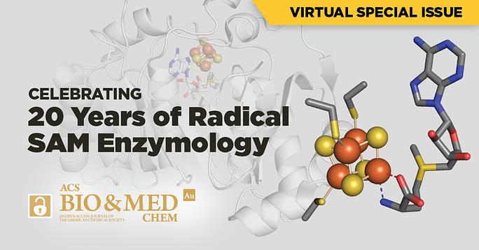 ACSBioMed's tweet photo. In 2001, Heidi Sofia's groundbreaking study showed the importance of the Radical SAM superfamily of #enzymes.

A special collection in ACS Bio &amp; Med Chem Au celebrates new insights into Radical SAM enzymology.

🔓 Fully open access. Check it out 👉 https://t.co/CD1kC6P1OP https://t.co/kWgmd0ZOpU