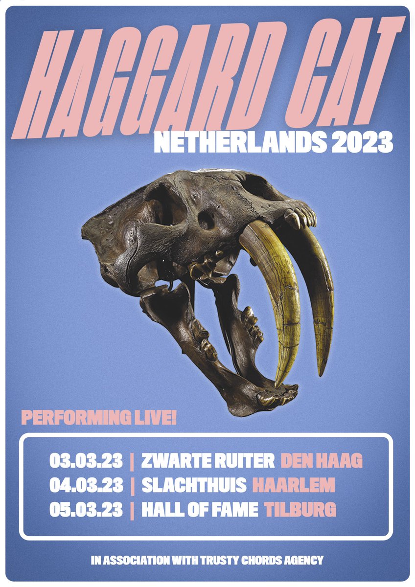 WE’RE HEADED BACK TO NL FOR SOME HEADLINE SHOWS! 🥳 🇳🇱