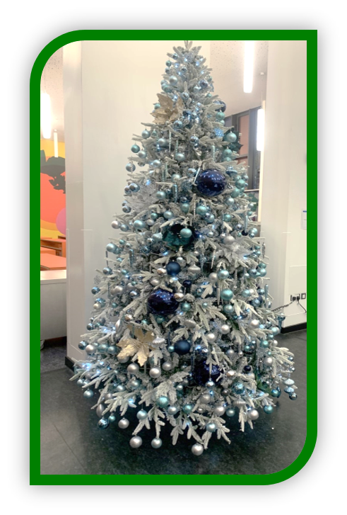 Waverley_School's tweet photo. Christmas Celebrations have begun at Waverley School.
The dark mornings, frosty evenings yet positive warm smiles show the festivity season is upon us! The Christmas trees and decorations are up all over our school!
 #christmas #LearningThroughDiversity  #warmsmile https://t.co/IiC33elftO