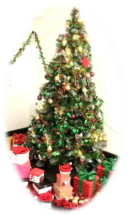 Waverley_School's tweet photo. Christmas Celebrations have begun at Waverley School.
The dark mornings, frosty evenings yet positive warm smiles show the festivity season is upon us! The Christmas trees and decorations are up all over our school!
 #christmas #LearningThroughDiversity  #warmsmile https://t.co/IiC33elftO