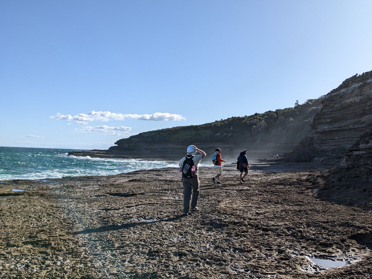 anzic_iodp's tweet photo. A beautiful afternoon at Snapper Point (and bonus columnar basalt on the way!) for our #ANZICmasterclass β°οΈπ
Amazing outcrops, weather & people - excited to do it all again tomorrow πͺ
#IODP #marinegeology #marinegeoscience https://t.co/EyoxJ1F4qj