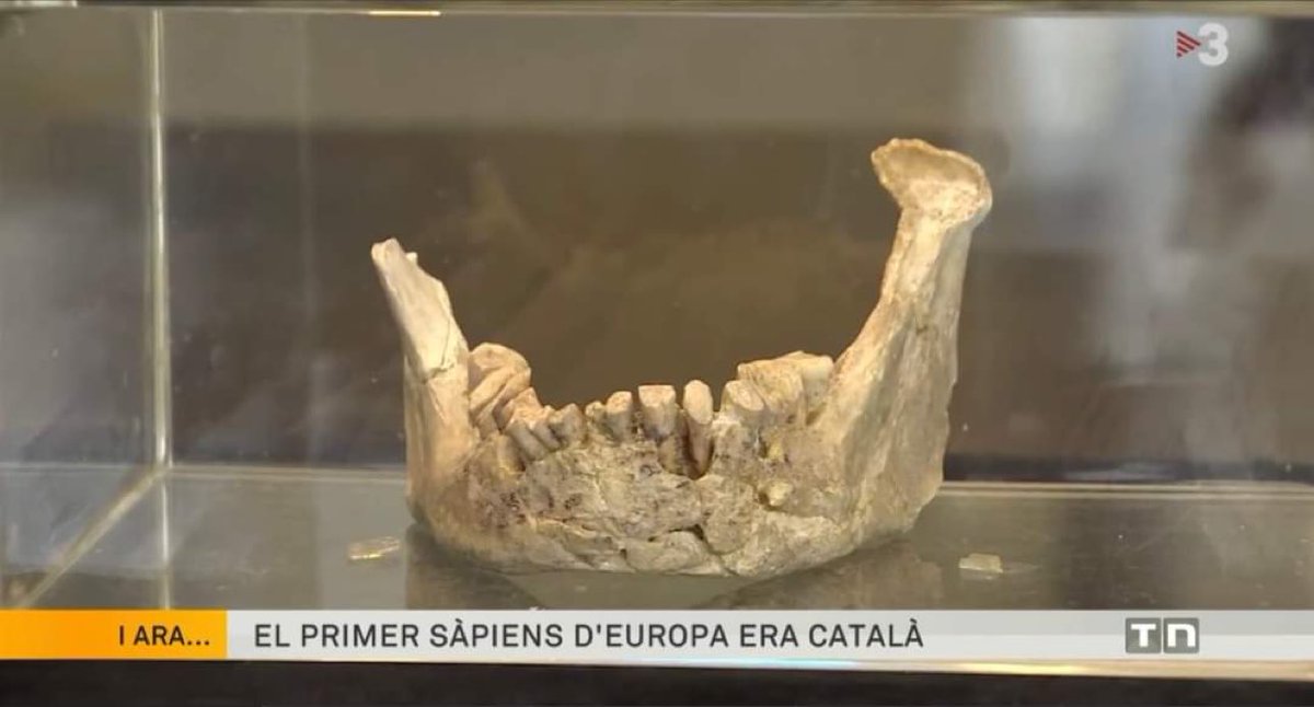 CapiHispania's tweet photo. Los mismos que dicen que el primer sapiens era catalán son los que dicen que España no existió hasta 1714. #Chalaos https://t.co/qNaC7oTlk2