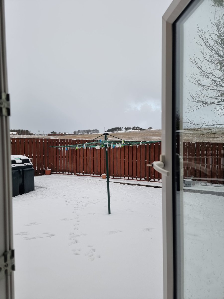 sandie_whyte's tweet photo. The first snowfall ❄️ https://t.co/qx1yviOfoU