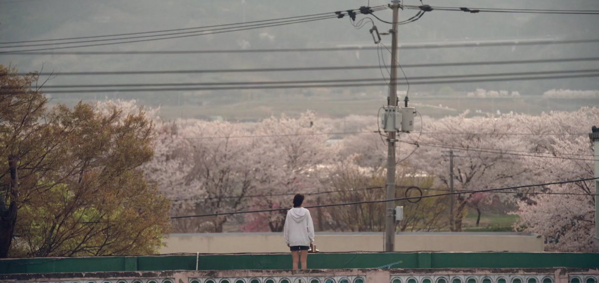 ryuscenes's tweet photo. summer strike, ep 2. https://t.co/SbkjtTs5SJ