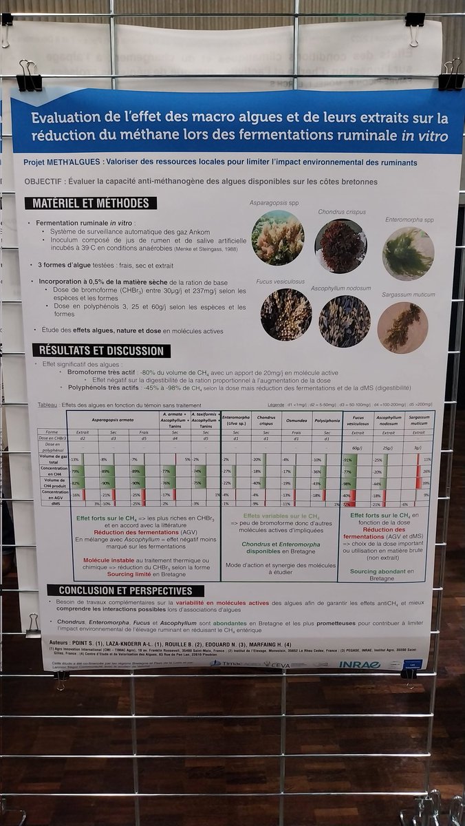 B_Rouille's tweet image. 🚨 #METHALGUES aux #3R2022

Asparagopsis spp, Chondrus crispus, Enteromorpha spp, Fucus vesiculosus, Ascophyllum nodusum, Sargassum muticum 🌊
➡️ tests in vitro sur la production de #méthane, d&apos;AGV, et sur la digestibilité de la matière sèche 🐄