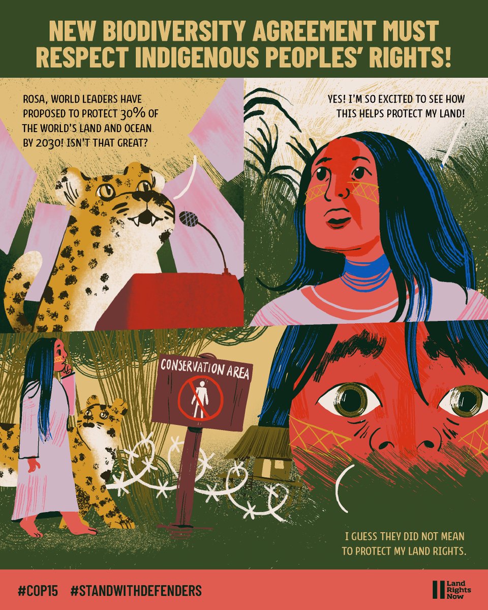 Land Rights Now tweet media