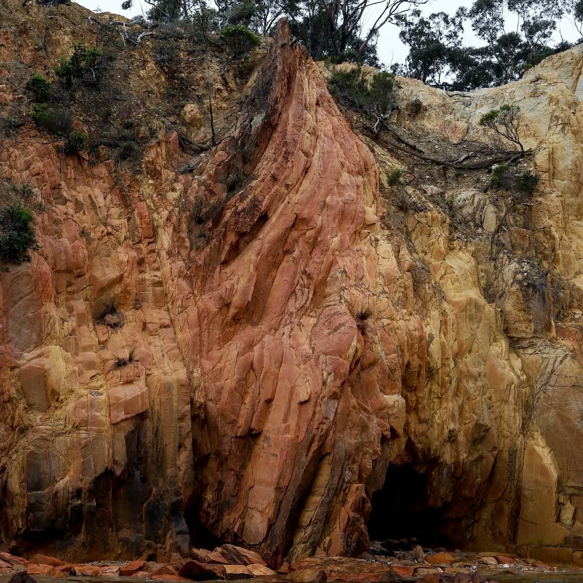 One of my greatest pleasures is to teach about the wonders of rocks!! About how the seemingly ordinary is totally extraordinary!! 🪨
Ft. Lachlan Fold Belt seds 🤘