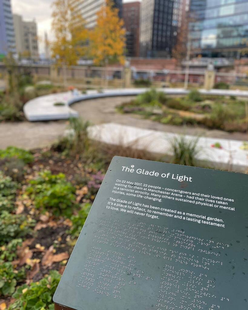 Some seasonal colours at the Glade of Light, with bright yellow birch (Betula pencils and Betula pubescens) standing out against the string shades of evergreen planting and the retained Corsican Pine (Pinus Nigra ‘maritima’). Among the blooming winter heaths is also a surpri…