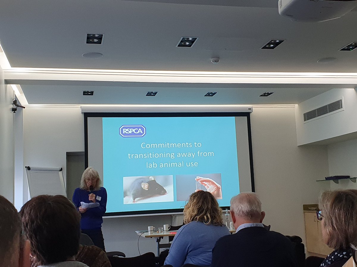 DrDoox's tweet photo. Barney from @RSPCA_LabAnimal kicks off with international overview of stated commitments to phasing out of #AnimalTesting. Some areas of #animalresearch will be more straightforward than others and outlines some of the barriers to #replacement https://t.co/YlsX2gfHJG