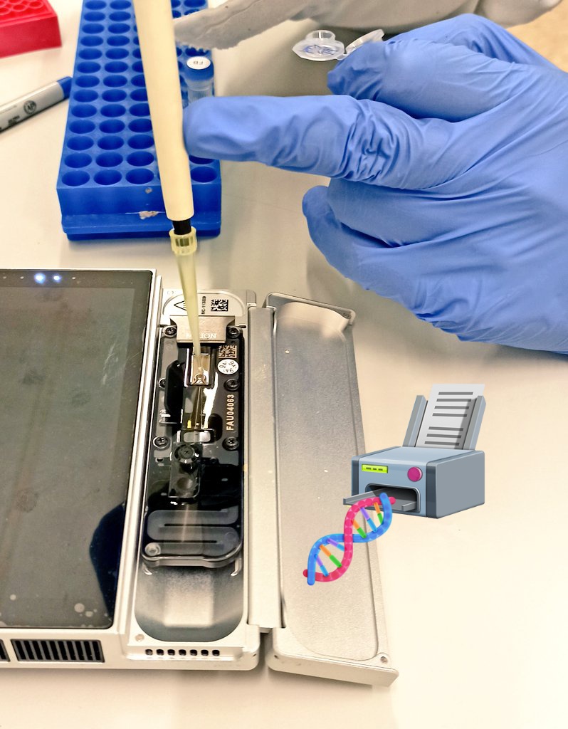 lou_lobato's tweet photo. Excited again #🦇 🦠💜🧪 with such a tinny powerful #technolgy! Want to know more about our study? Stay tunned for 😱 results! 
#bathealth #batsconservation #minION #nextgensequencing @WildCoM_bcn #wildlifepopulationhealth #microbiome https://t.co/XNrOo3LP0s