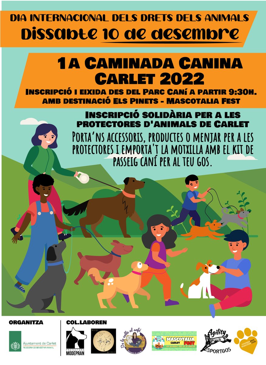 Ajuntament de Carlet (@ajuntcarlet) on Twitter photo 