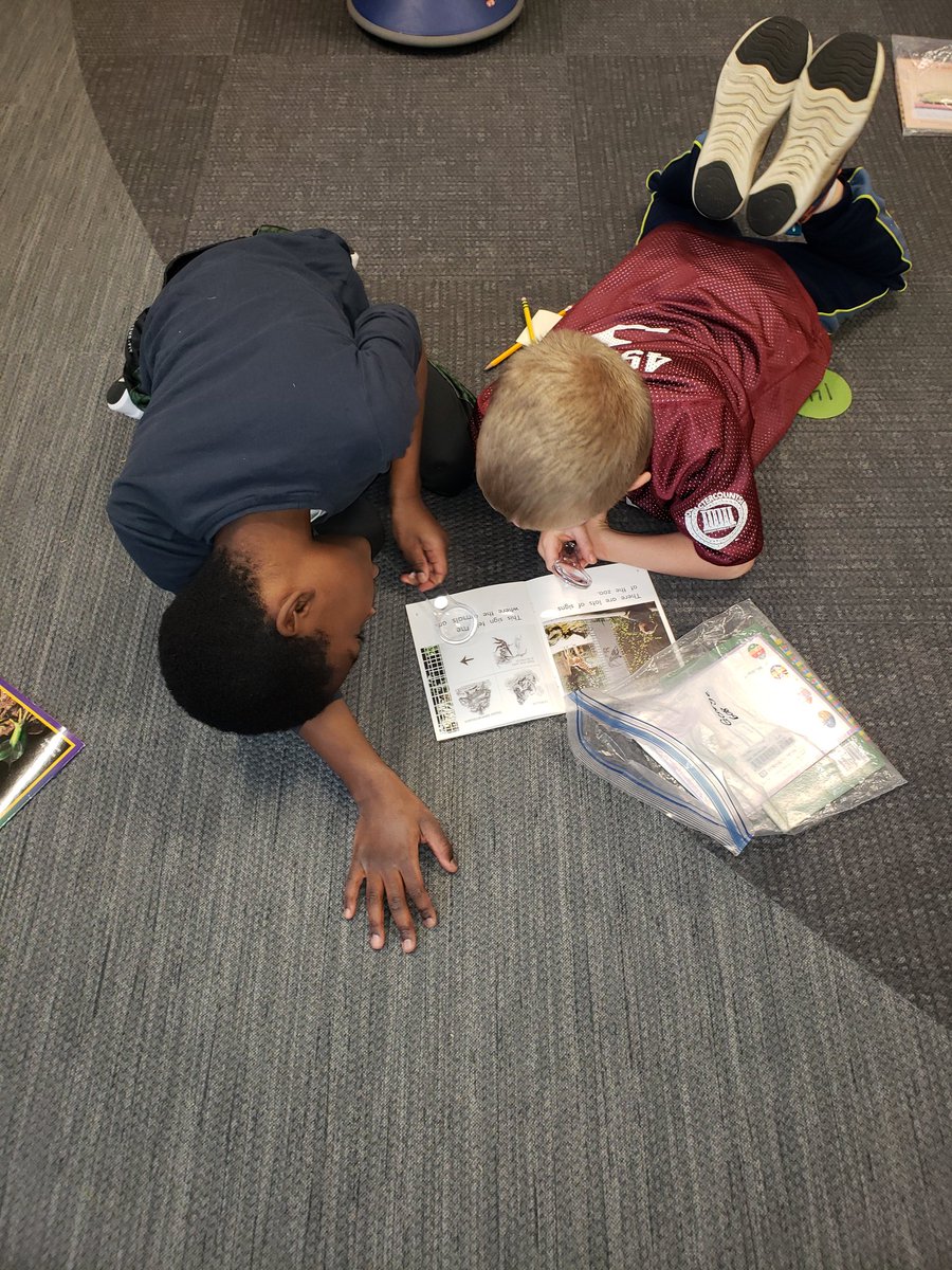 Ms. Obediah tweet media