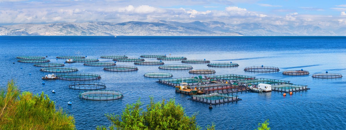 BioNB (@biosciencenb) on Twitter photo Join <a href="/SMSHawaiiInc/">SMS Hawaii</a> on December 14th for a webinar exploring #Aquaculture, #RenewableEnergy, and #DefenseandSecurity's promising sector opportunities for Canadian companies!
Secure your spot here: zurl.co/AskC
Check our SMS Hawaii: smshawaii.com Join <a href="/SMSHawaiiInc/">SMS Hawaii</a> on December 14th for a webinar exploring #Aquaculture, #RenewableEnergy, and #DefenseandSecurity's promising sector opportunities for Canadian companies!
Secure your spot here: zurl.co/AskC
Check our SMS Hawaii: smshawaii.com