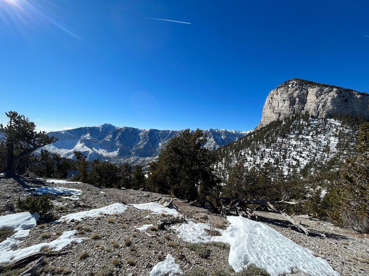 AlexHonnold tweet picture