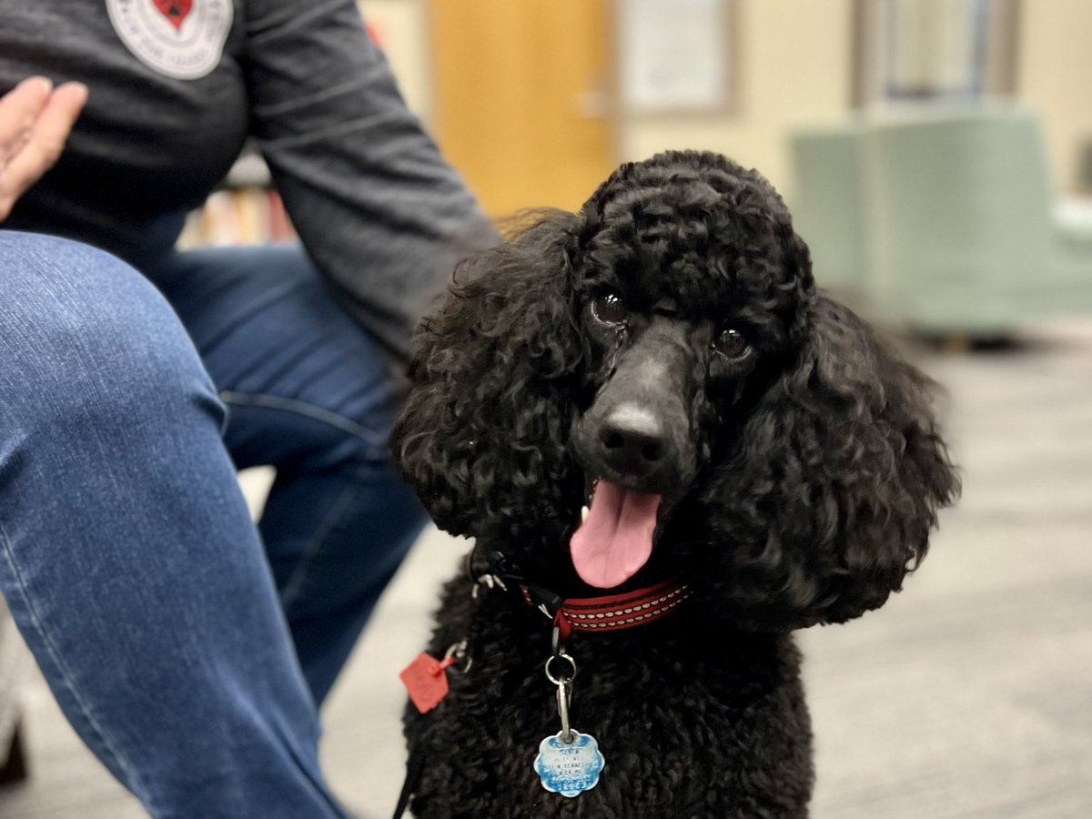 Thanks to our furry friends at #PetTherapy of the Ozarks for providing some much-needed stress relief ahead of finals. 🐶❤️ #GoMaroon