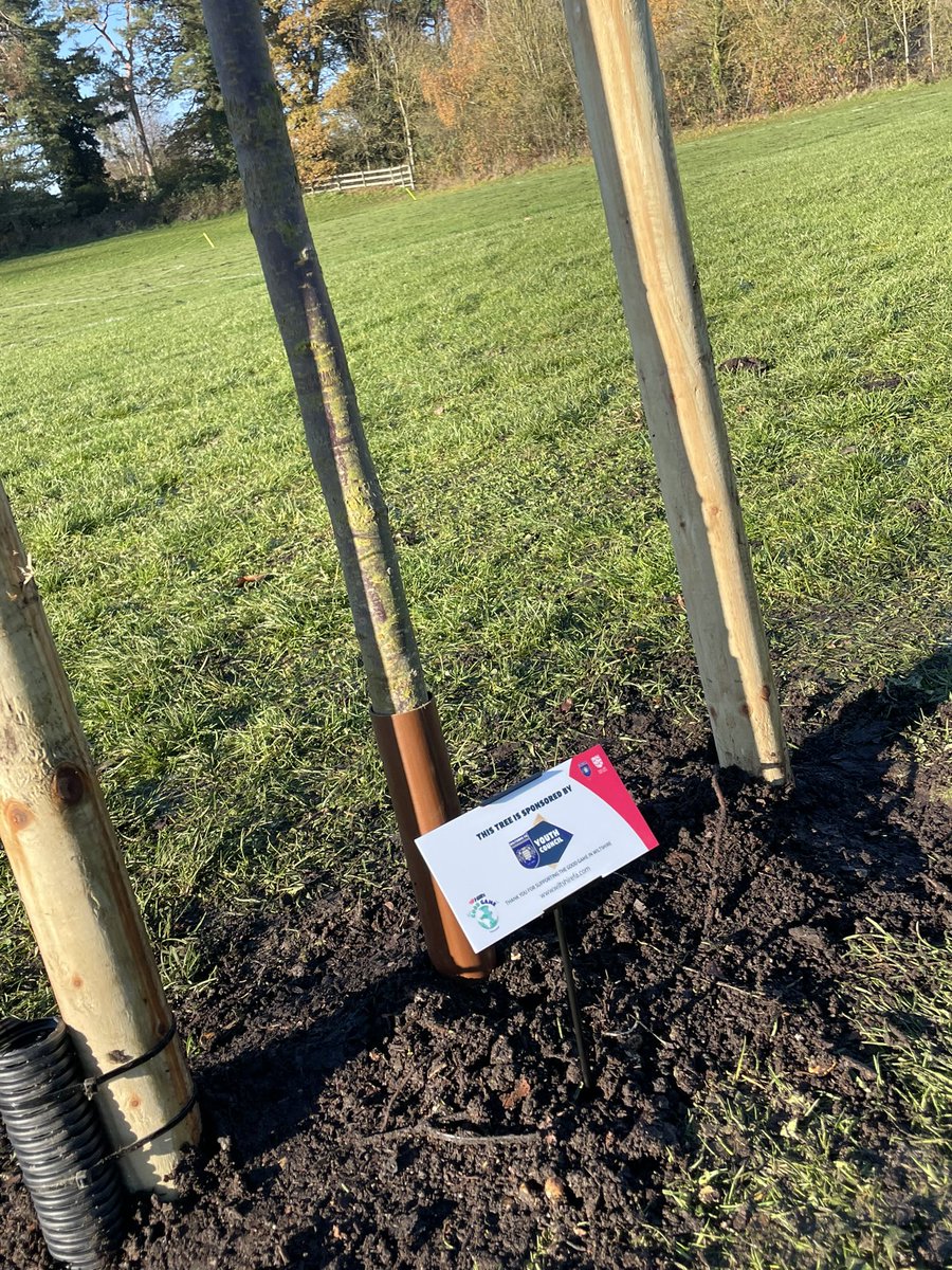 WCFA Youth Council (@wiltsfayc) on Twitter photo It was great to be involved at the Tree Planting event <a href="/GreenLanePF/">Green Lane Playing Fields</a>!
We are very excited to announce that we have our own tree as part of the project on site! Pop down to Green Lane and see the work that’s taken place! ⚽️
<a href="/WiltsCountyFA/">Wiltshire FA</a> It was great to be involved at the Tree Planting event <a href="/GreenLanePF/">Green Lane Playing Fields</a>!
We are very excited to announce that we have our own tree as part of the project on site! Pop down to Green Lane and see the work that’s taken place! ⚽️
<a href="/WiltsCountyFA/">Wiltshire FA</a>