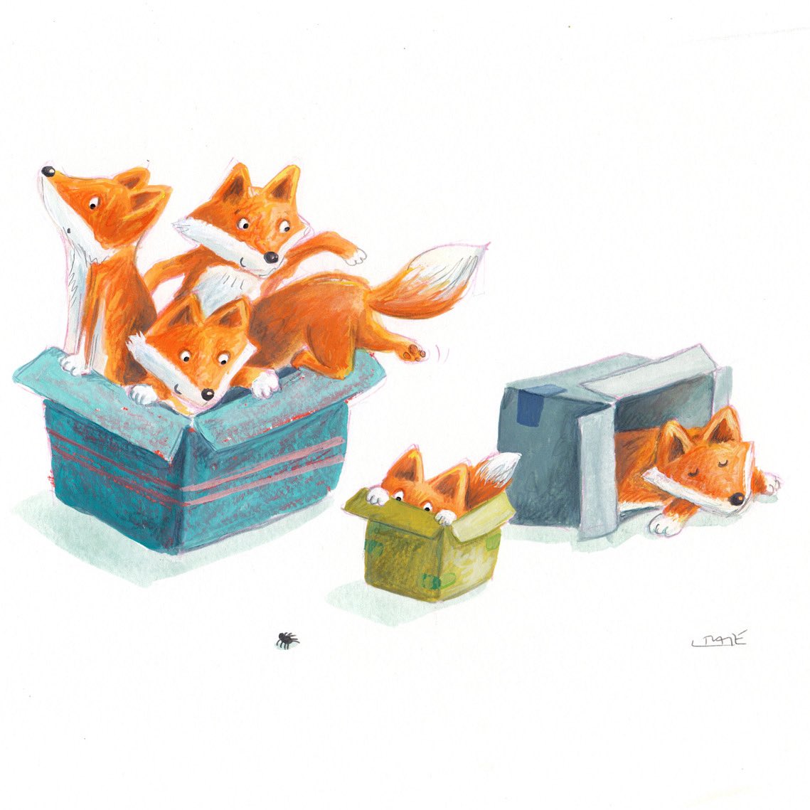 Lou_Tate's tweet photo. Advent Day 8

Foxes in boxes

They love a good box (who doesn’t?) Fact.😋

#artistsontwitter #illustration #fox #AdventCalendar https://t.co/kD35m6v5vN