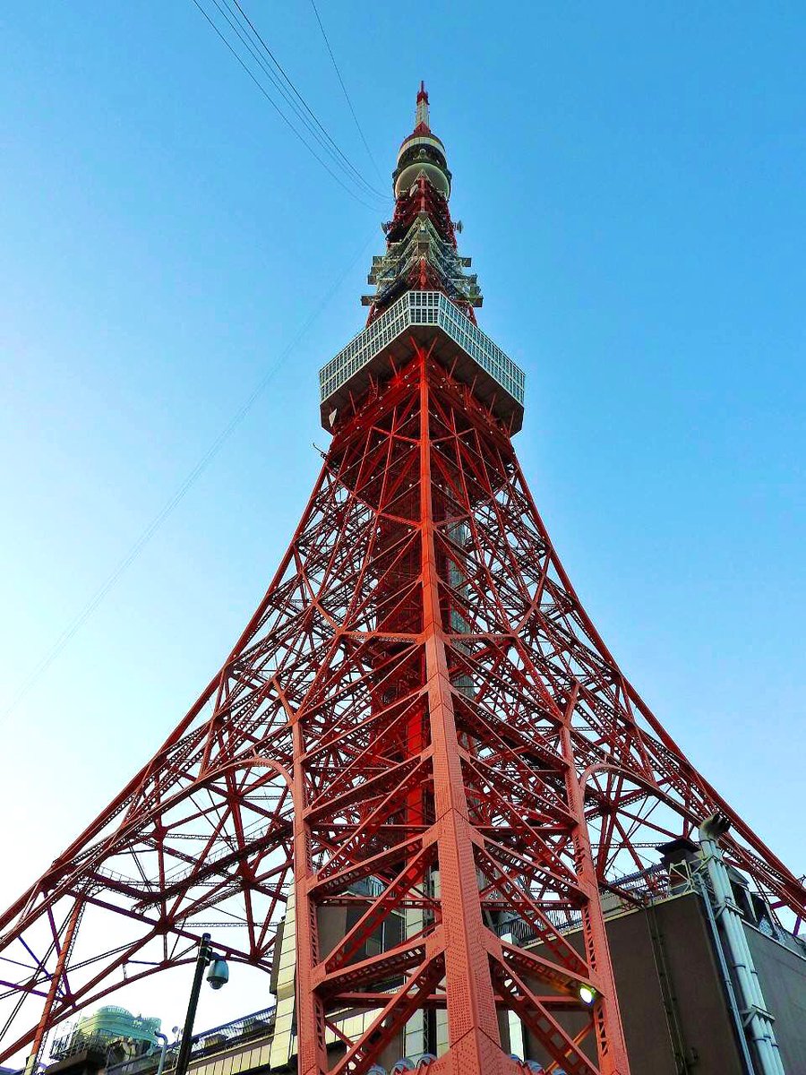 佐久間 有加^ ܸ._. ܸ^🦋🌸💫 tweet media